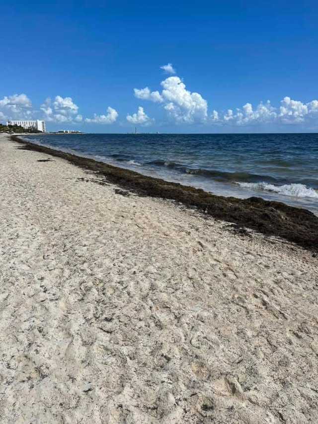 Blue Water Travel Facebook photo