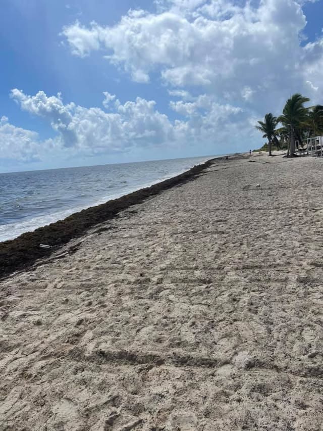 Blue Water Travel Facebook photo