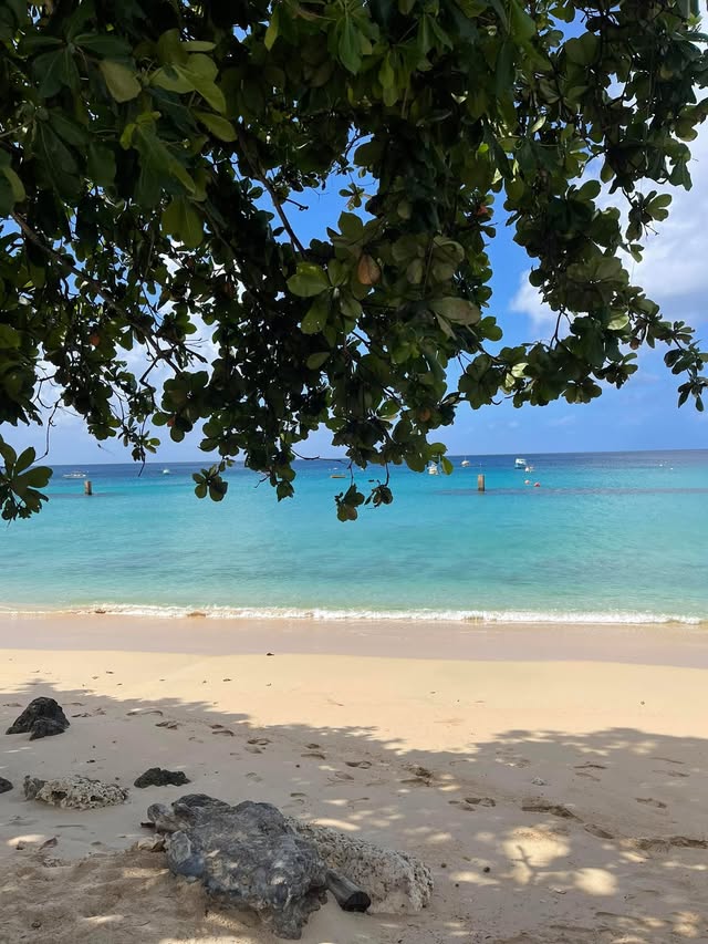 Blue Water Travel Facebook photo