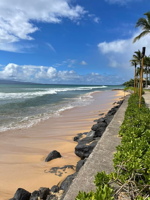 Blue Water Travel Facebook photo
