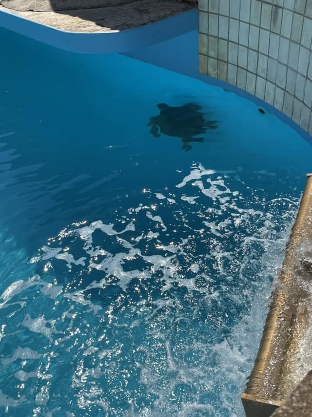 Blue Water Travel Facebook photo