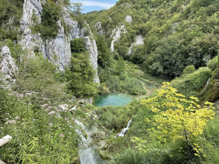 Blue Water Travel Facebook photo