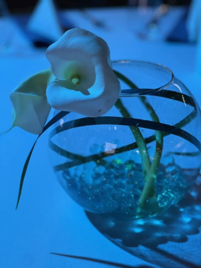 Blue Water Travel Facebook photo