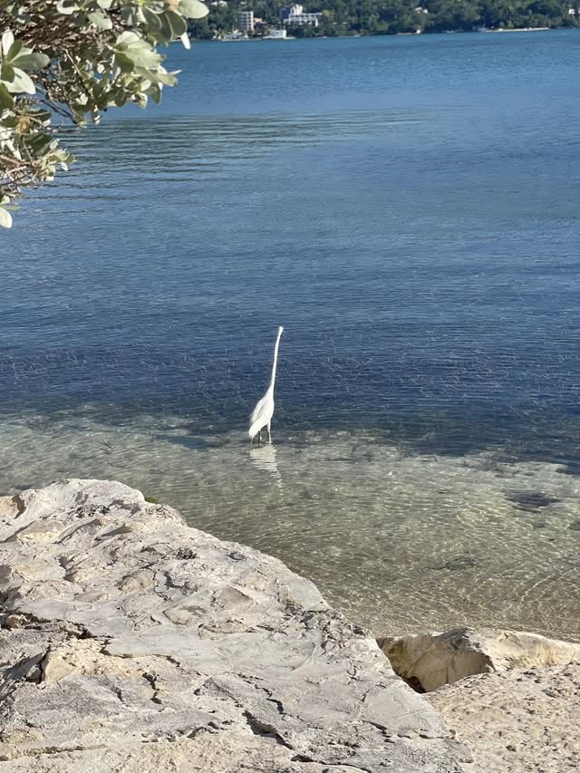 Blue Water Travel Facebook photo