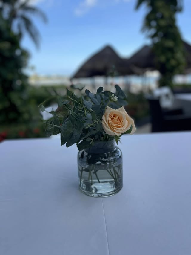 Blue Water Travel Facebook photo