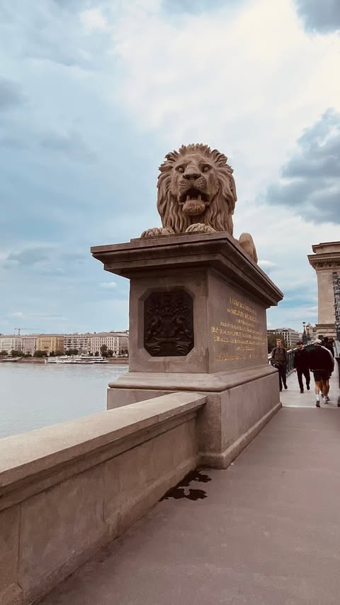 Viking Var on the Danube