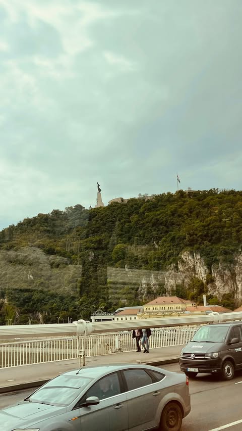 Viking Var on the Danube