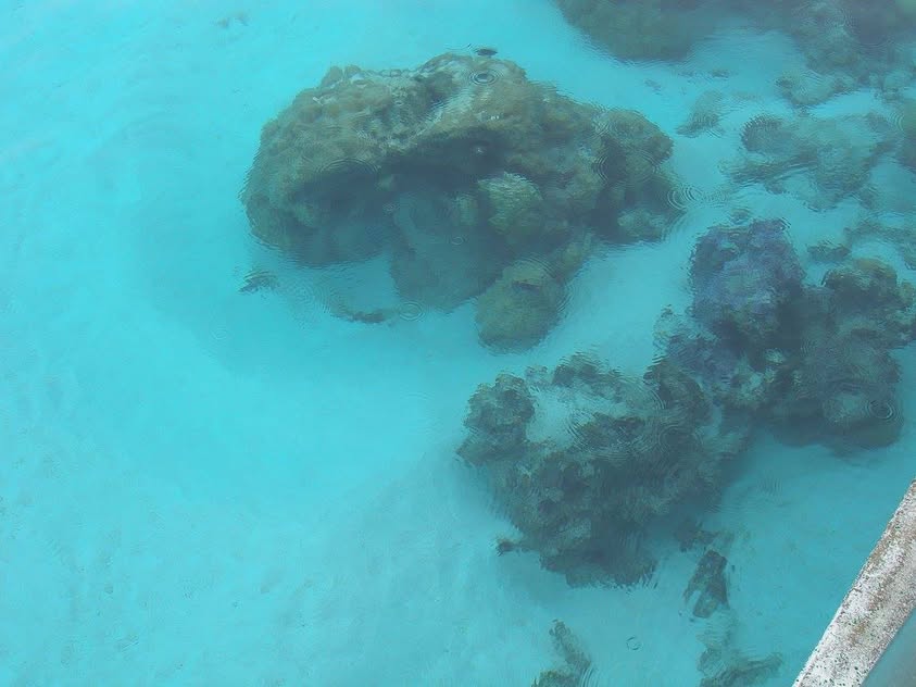 Blue Water Travel Facebook photo