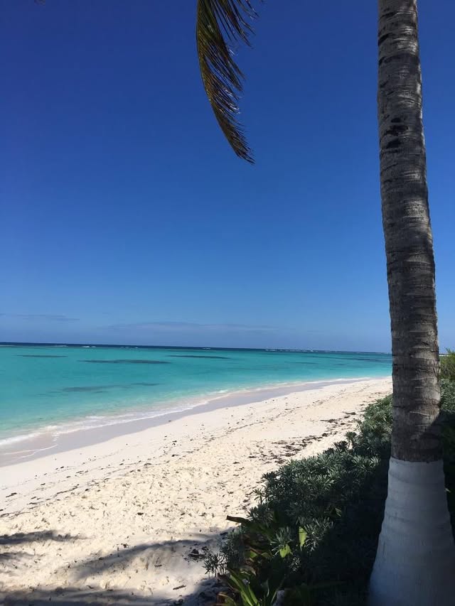 Blue Water Travel Facebook photo