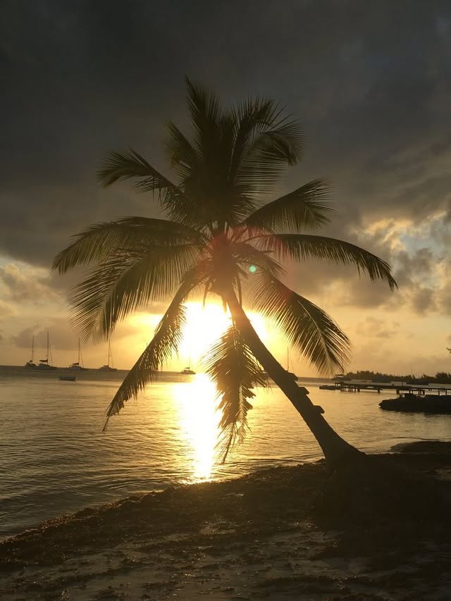 Blue Water Travel Facebook photo