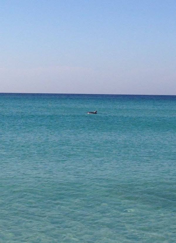 Blue Water Travel Facebook photo