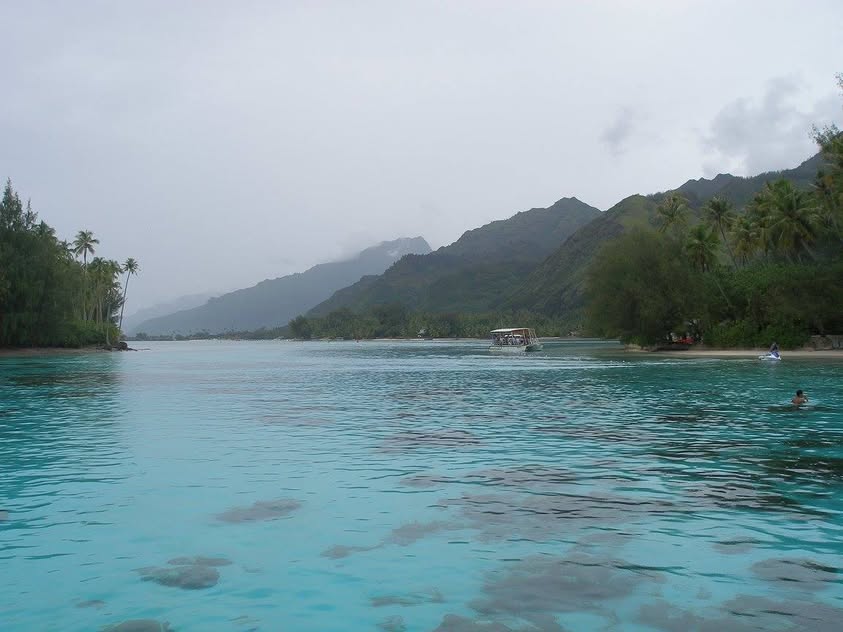 Blue Water Travel Facebook photo