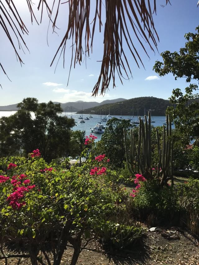 Blue Water Travel Facebook photo