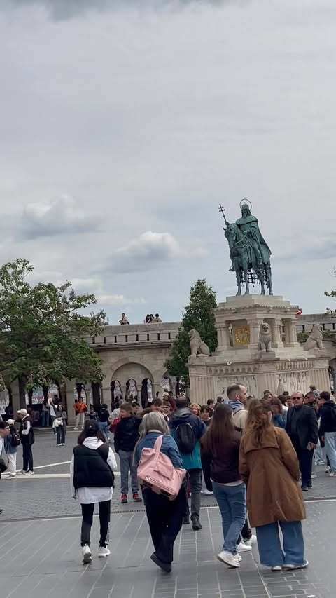 Viking Var on the Danube