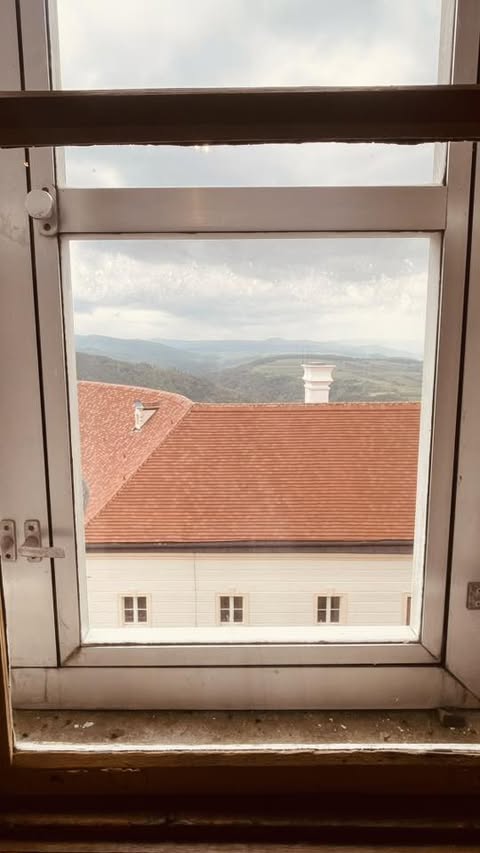 Viking Var on the Danube
