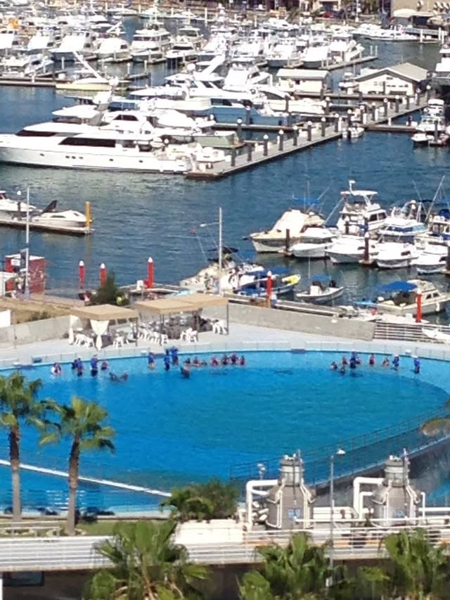 Blue Water Travel Facebook photo