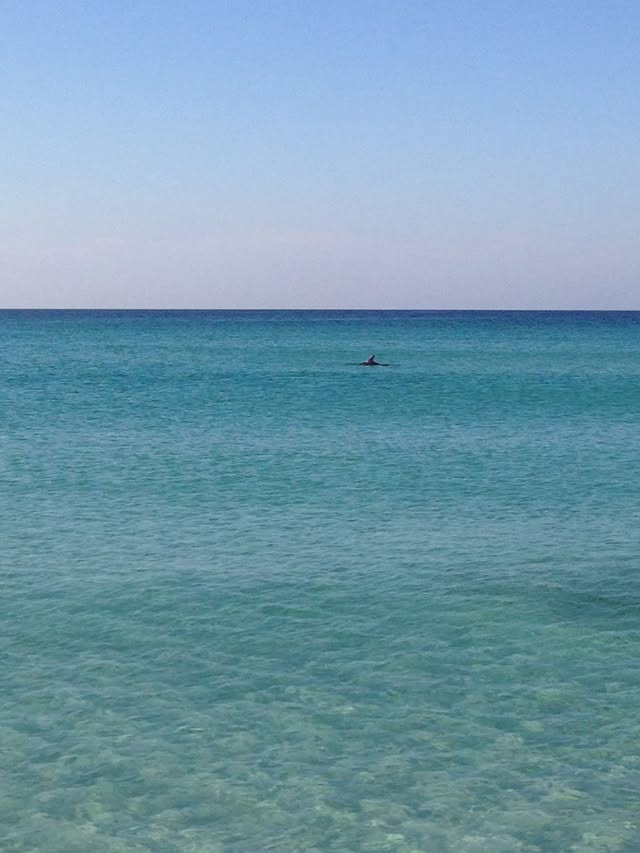 Blue Water Travel Facebook photo