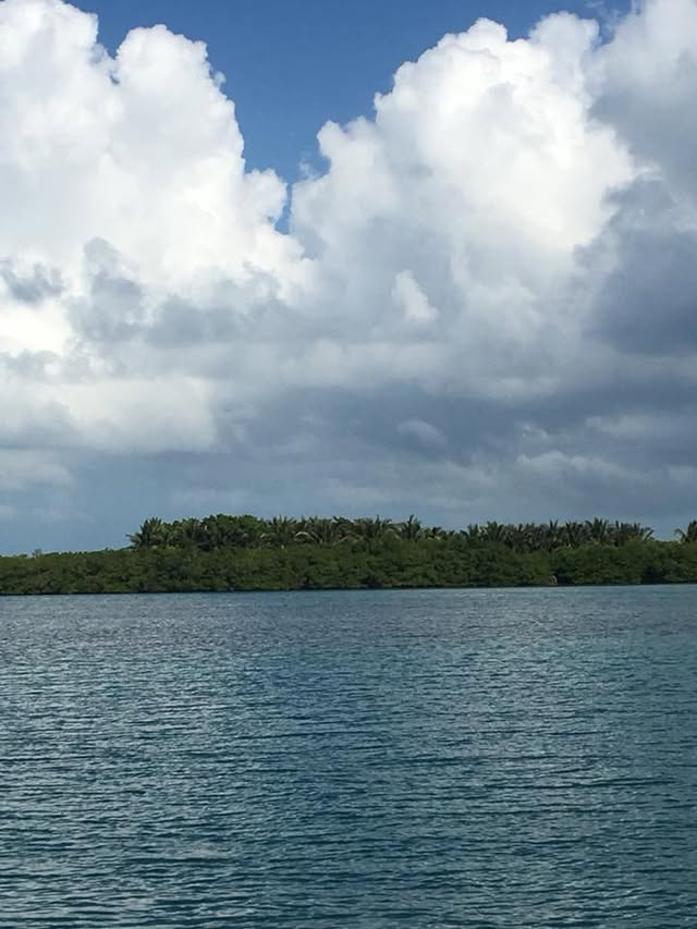 Blue Water Travel Facebook photo