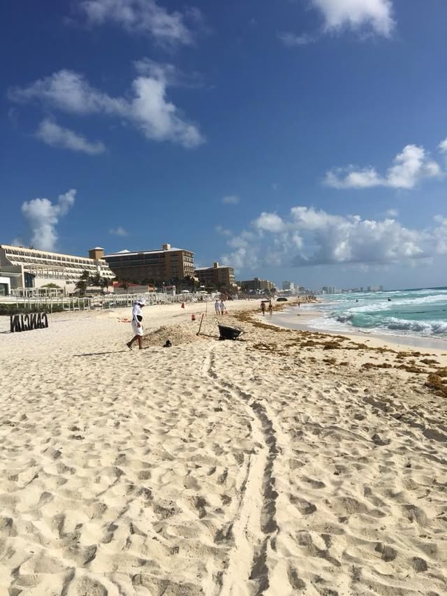 Blue Water Travel Facebook photo