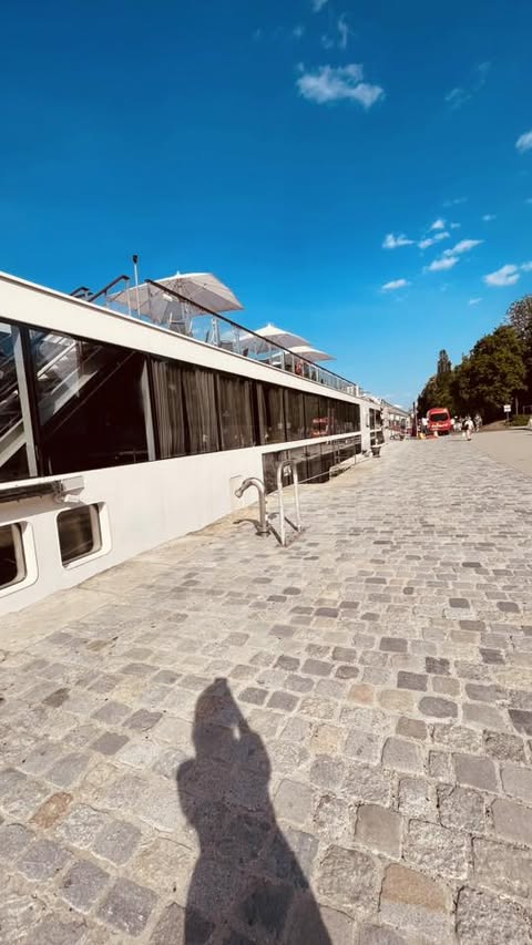 Viking Var on the Danube