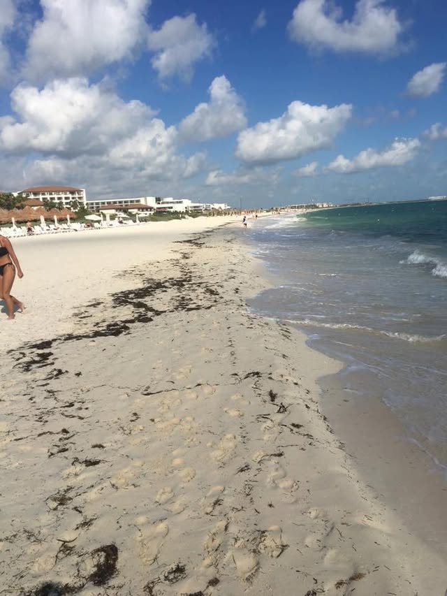 Blue Water Travel Facebook photo