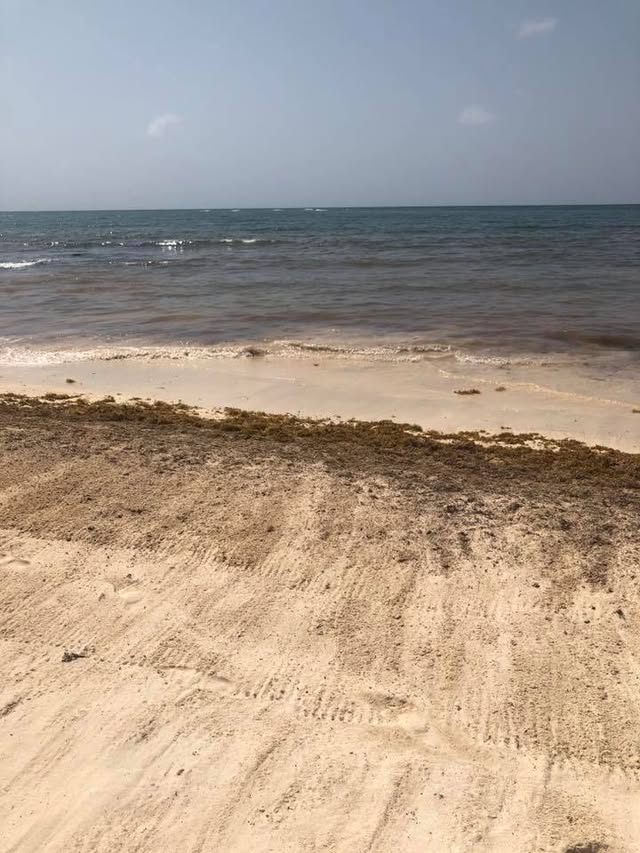 Blue Water Travel Facebook photo