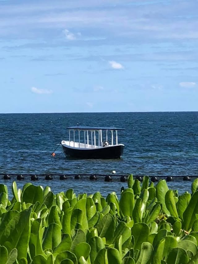 Blue Water Travel Facebook photo