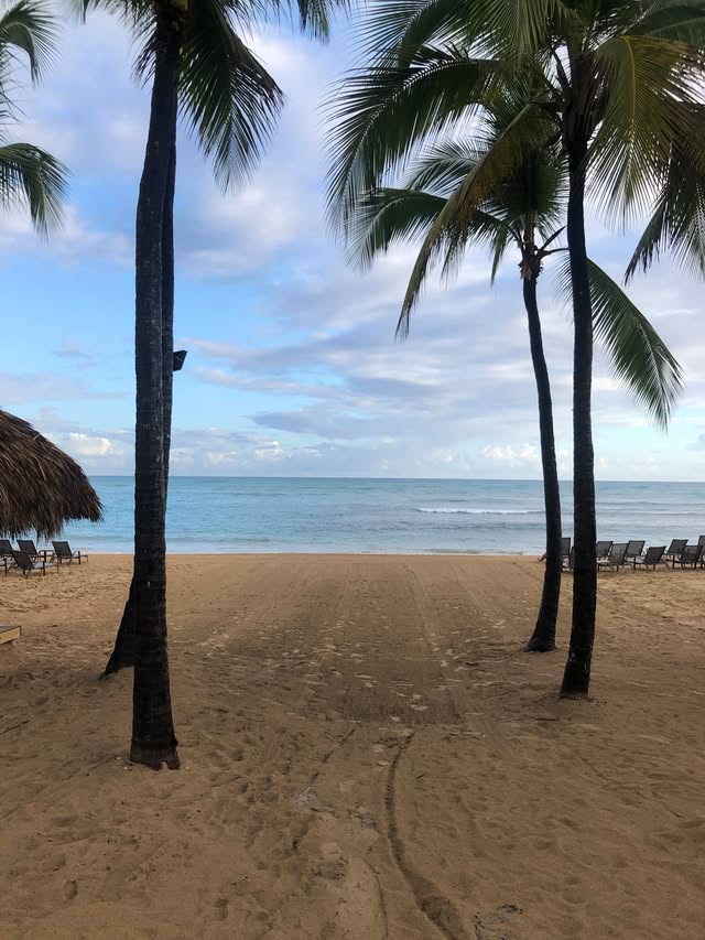 Blue Water Travel Facebook photo
